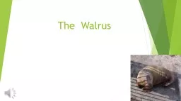 The  Walrus