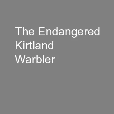The Endangered Kirtland Warbler