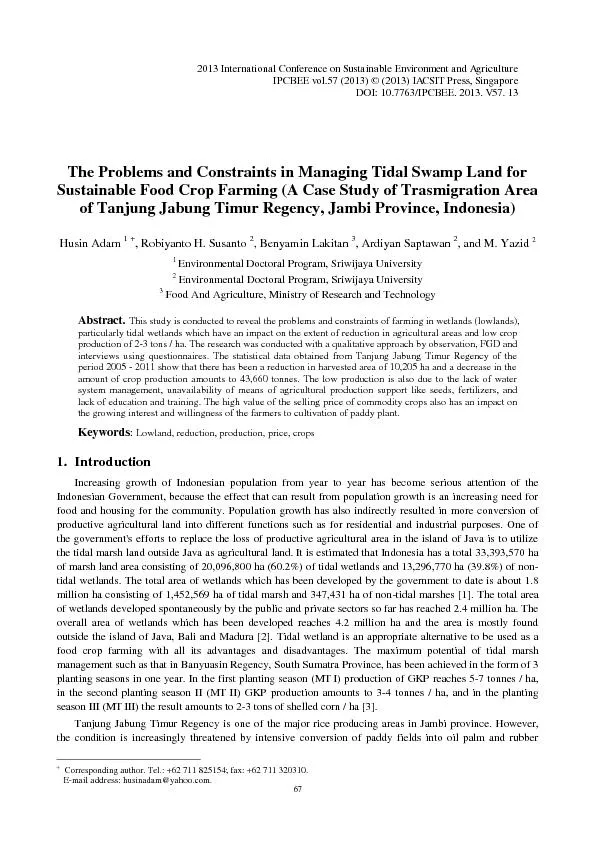 The Problems and Constraints in Managing Tidal Swamp Land for Sustaina
