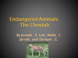 Endangered Animals: