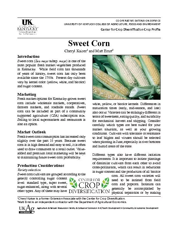    Sweet Corn Insect Integrated Pest