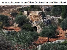A  Watchtower