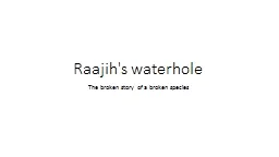 Raajih's waterhole