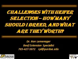 Challenges with Heifer Selection – HOW MANY Should I Bree