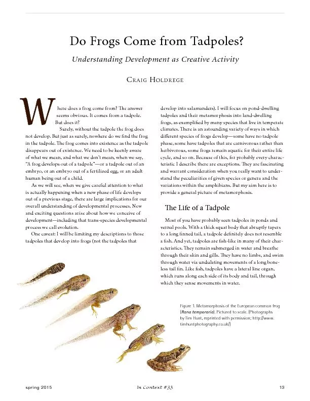 Do Frogs Come from Tadpoles?Understanding Development as Creative Act