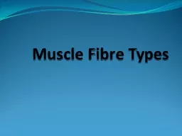 Muscle Fibre Types