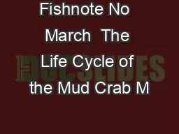 Fishnote No  March  The Life Cycle of the Mud Crab M