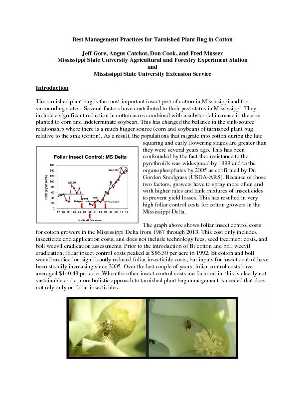 Best Management Practices for Tarnished Plant Bug in CottonJeff Gore,