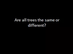 Are all trees the same or different?
