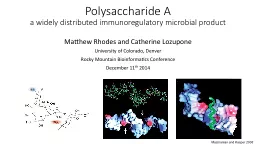 Polysaccharide A