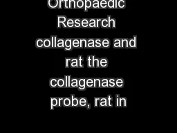Orthopaedic Research collagenase and rat the collagenase probe, rat in