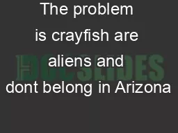 The problem is crayfish are aliens and dont belong in Arizona