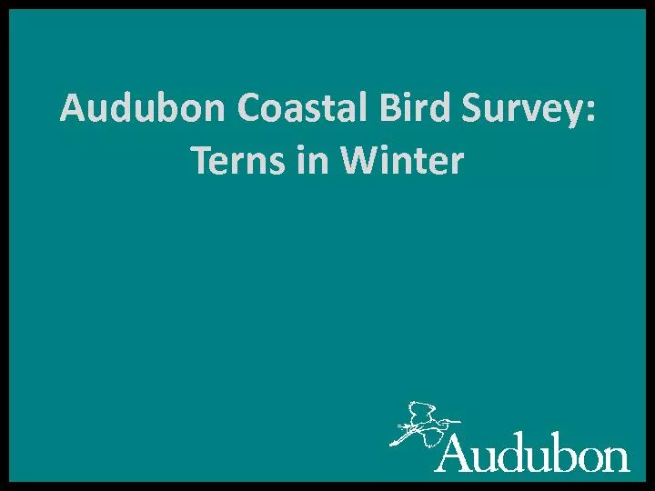 Audubon Coastal Bird Survey: