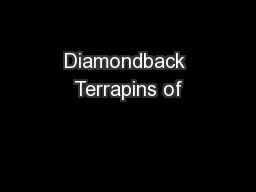 Diamondback Terrapins of