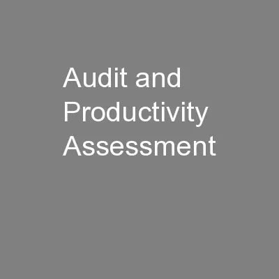 Audit and Productivity Assessment 
