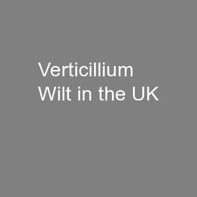 Verticillium Wilt in the UK