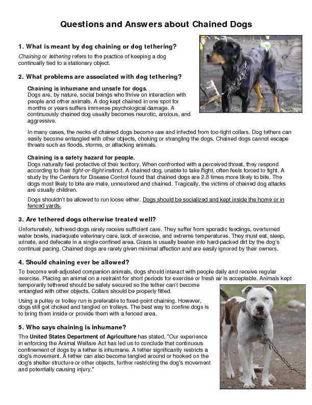 Questions and Answers aboutChained Dogs1. What is meant by dog chainin