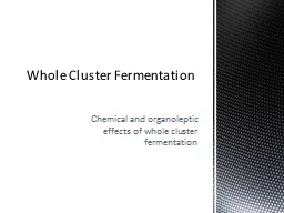 Chemical and organoleptic effects of whole cluster fermenta