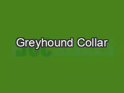 Greyhound Collar
