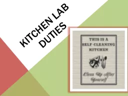 Kitchen lab duties