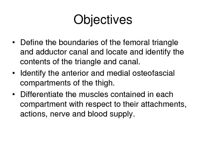 Define the boundaries of the femoral triangle