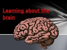 Learning about the brain