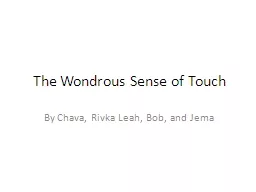 The Wondrous Sense of Touch