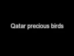 Qatar precious birds