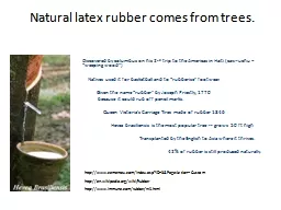 Natural latex rubber comes from trees.