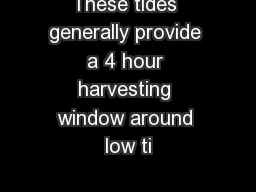 These tides generally provide a 4 hour harvesting window around low ti