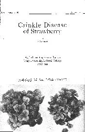 Crinkle Disease of Strawberry By S