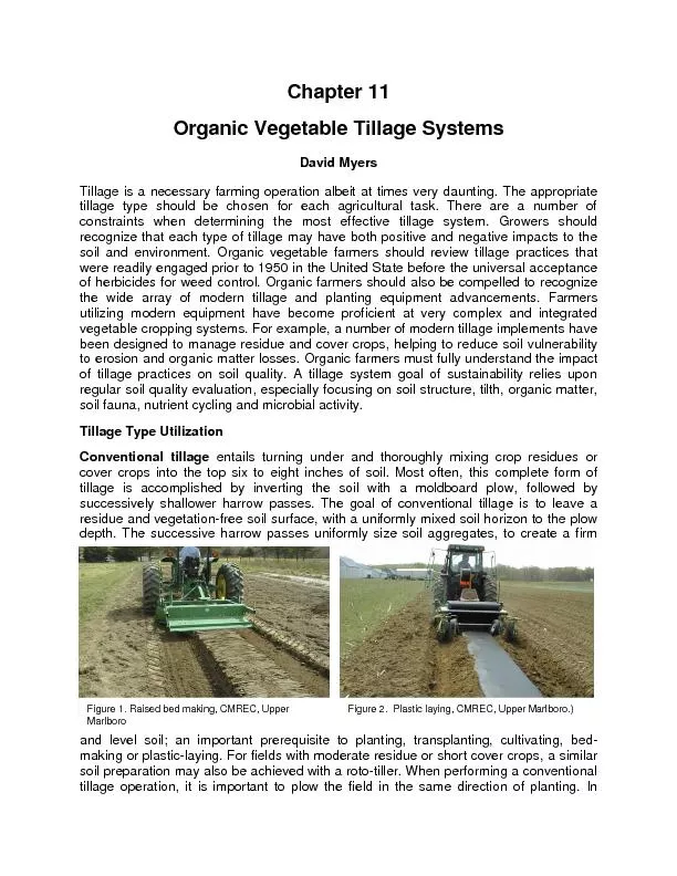 Organic Vegetable Tillage Systems