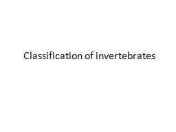 Classification of invertebrates