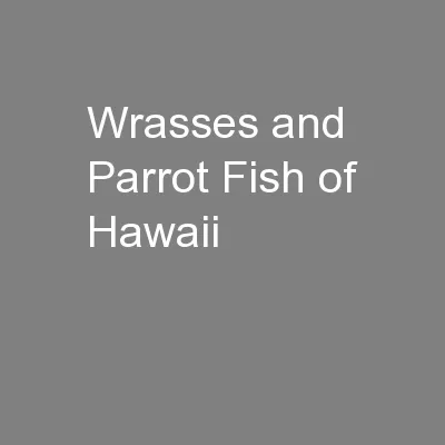 Wrasses and Parrot Fish of Hawaii