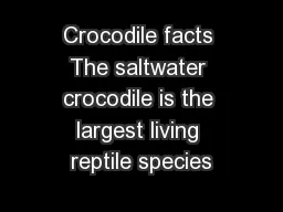 Crocodile facts The saltwater crocodile is the largest living reptile species