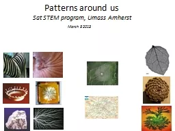 Patterns around us