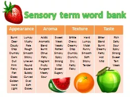 Sensory term word bank