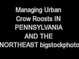Managing Urban Crow Roosts IN PENNSYLVANIA AND THE NORTHEAST bigstockphoto