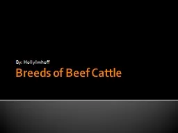 Breeds of Beef Cattle