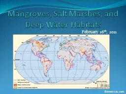 Mangroves, Salt Marshes, and Deep Water Habitats