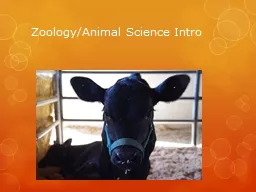 Zoology/Animal Science Intro