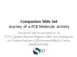 Companion Slide Set
