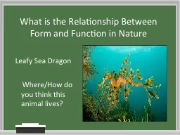 What is the Relationship Between Form and Function in Natur
