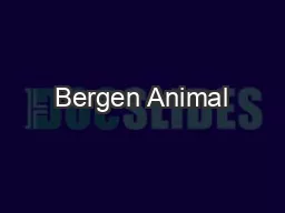 Bergen Animal