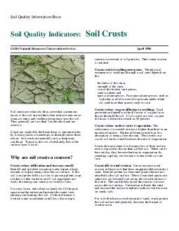 Soil Quality Information Sheet Soil Quality Indicators Soil Crusts USDA Natural Resources