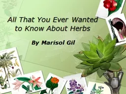 All That You Ever Wanted to Know About Herbs
