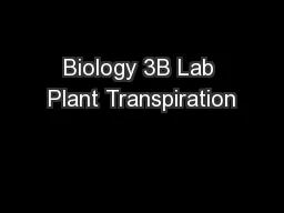 Biology 3B Lab Plant Transpiration