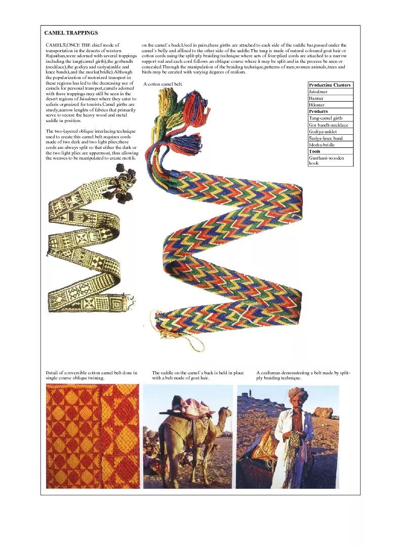 PDF-	\n\r thumbnail