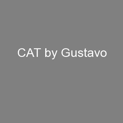 CAT by Gustavo