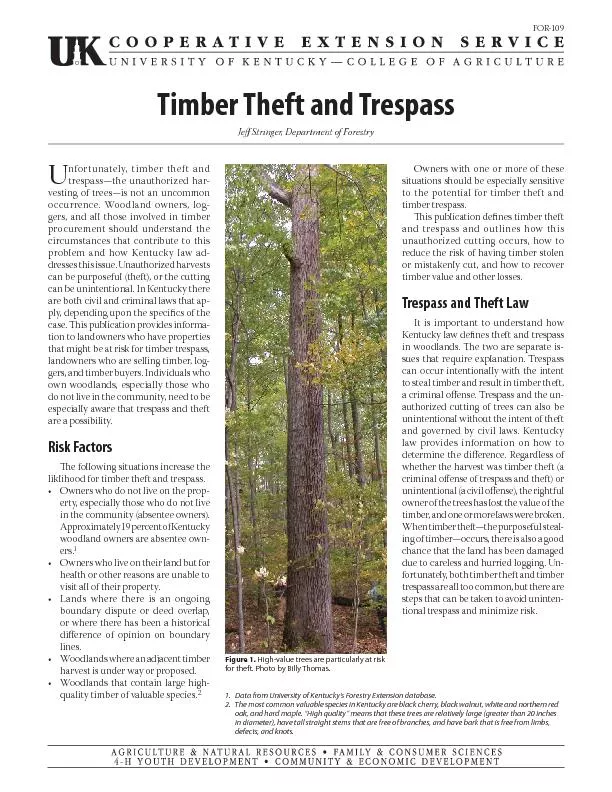 Timber Theft and TrespassJe  Stringer, Department of Forestrynfortuna